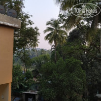 фото из отзыва ID 2091217