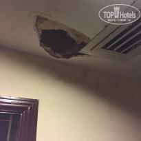 фото из отзыва ID 2091234