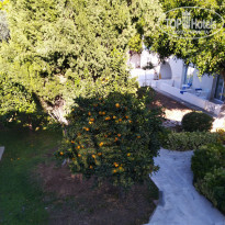 фото из отзыва ID 2091244