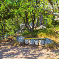 фото из отзыва ID 2091260