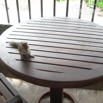 фото из отзыва ID 2091295