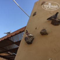 фото из отзыва ID 2091451