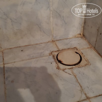 фото из отзыва ID 2091471