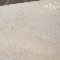 фото из отзыва ID 2091471