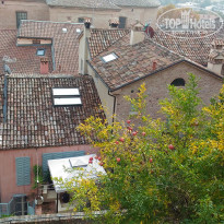 фото из отзыва ID 2091467