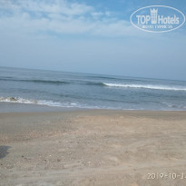 фото из отзыва ID 2091594