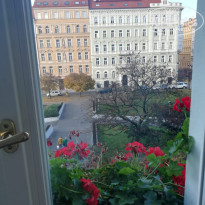 фото из отзыва ID 2091636