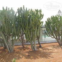 фото из отзыва ID 2091775