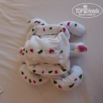 фото из отзыва ID 2091780