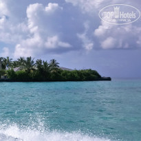 фото из отзыва ID 2091898