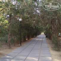 фото из отзыва ID 2091900