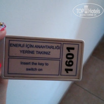 фото из отзыва ID 2091926