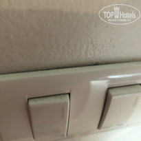 фото из отзыва ID 2091954