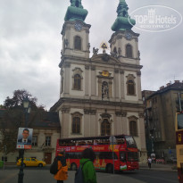 фото из отзыва ID 2091980