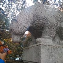 фото из отзыва ID 2091980