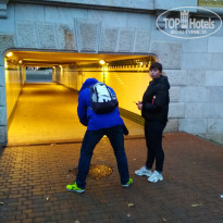 фото из отзыва ID 2091980