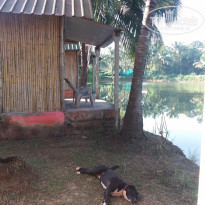 фото из отзыва ID 2092084