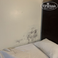 фото из отзыва ID 2092099