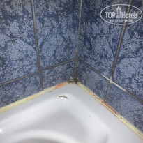 фото из отзыва ID 2092099