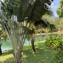 фото из отзыва ID 2092060