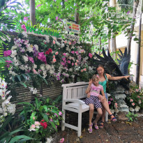 фото из отзыва ID 2092121