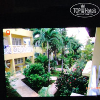 фото из отзыва ID 2092188