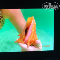 фото из отзыва ID 2092188