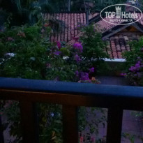 фото из отзыва ID 2092313