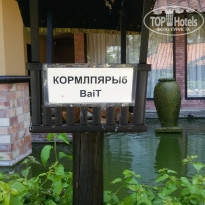 фото из отзыва ID 2092313