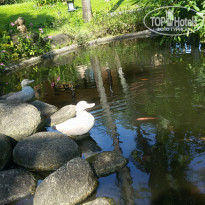 фото из отзыва ID 2092313