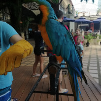 фото из отзыва ID 2092450