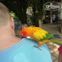 фото из отзыва ID 2092450