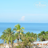 фото из отзыва ID 2092450