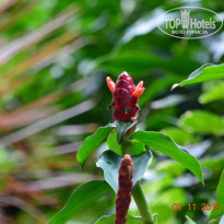 фото из отзыва ID 2092450