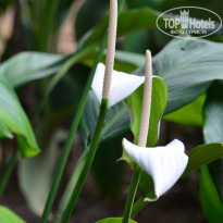 фото из отзыва ID 2092450