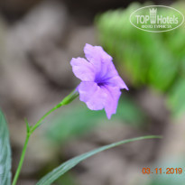 фото из отзыва ID 2092450