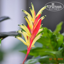 фото из отзыва ID 2092450