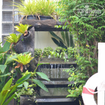 фото из отзыва ID 2092450