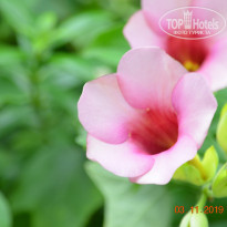 фото из отзыва ID 2092450