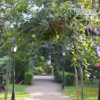 фото из отзыва ID 2092450