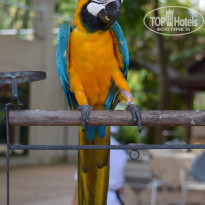 фото из отзыва ID 2092450