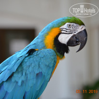 фото из отзыва ID 2092450