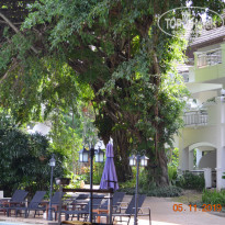 фото из отзыва ID 2092450