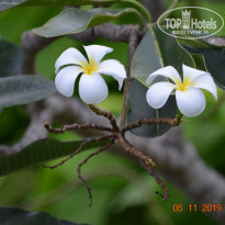 фото из отзыва ID 2092450