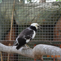 фото из отзыва ID 2092450