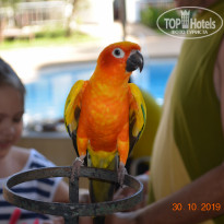 фото из отзыва ID 2092450