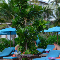 фото из отзыва ID 2092450