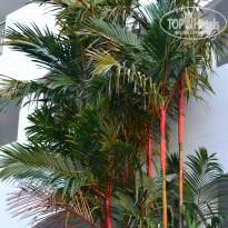 фото из отзыва ID 2092450