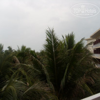 фото из отзыва ID 2092465