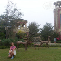 фото из отзыва ID 2092465